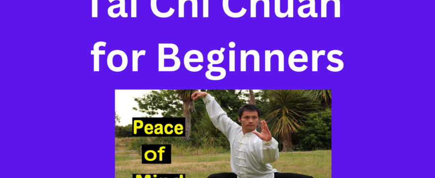 Beginner’s Guide to Tai Chi Chuan